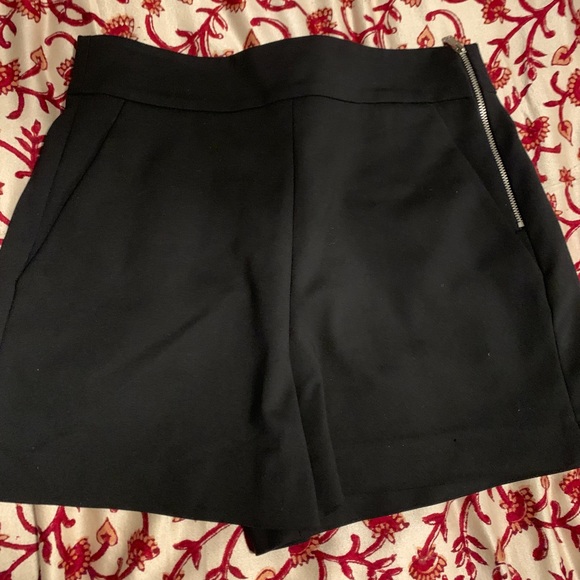 Zara Pants - shorts